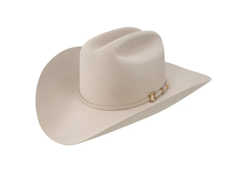 Stetson 6X Guadalupana Silverbelly Felt Hat