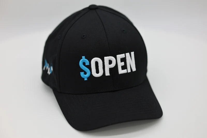 Opendoor (OPEN)