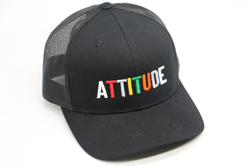 Attitude