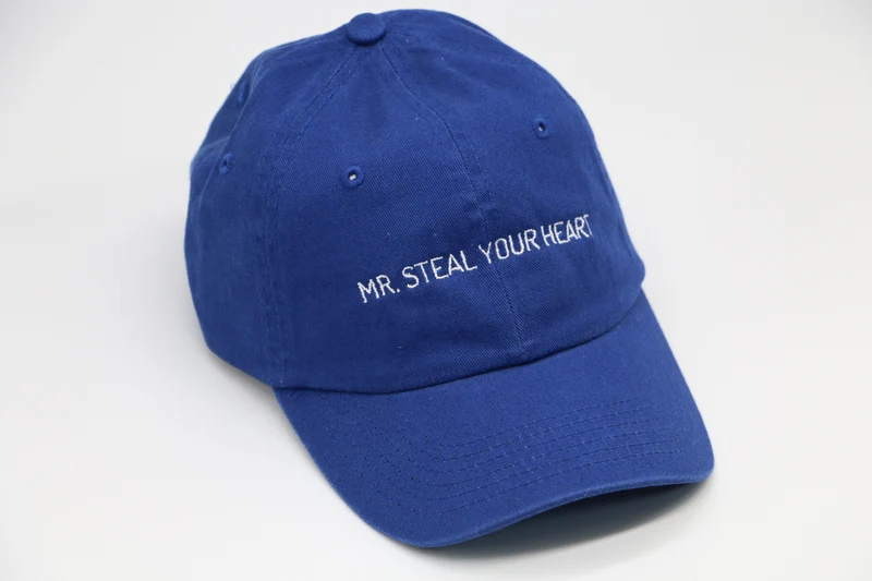 Mr. Steal Your Heart